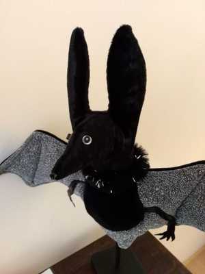 fledermaus